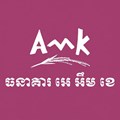 AMK Bank Plc