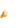 Air Cambodia