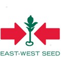 EAST-WEST SEED (CAMBODIA) COMPANY LIMITED