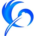 Giant Ibis Transport Co., Ltd