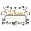 ELLESSE BRION TRADING CO., LTD