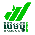 BAMBOO FINANCE PLC