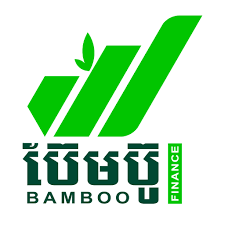 BAMBOO FINANCE PLC