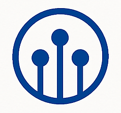 Blue Circuit
