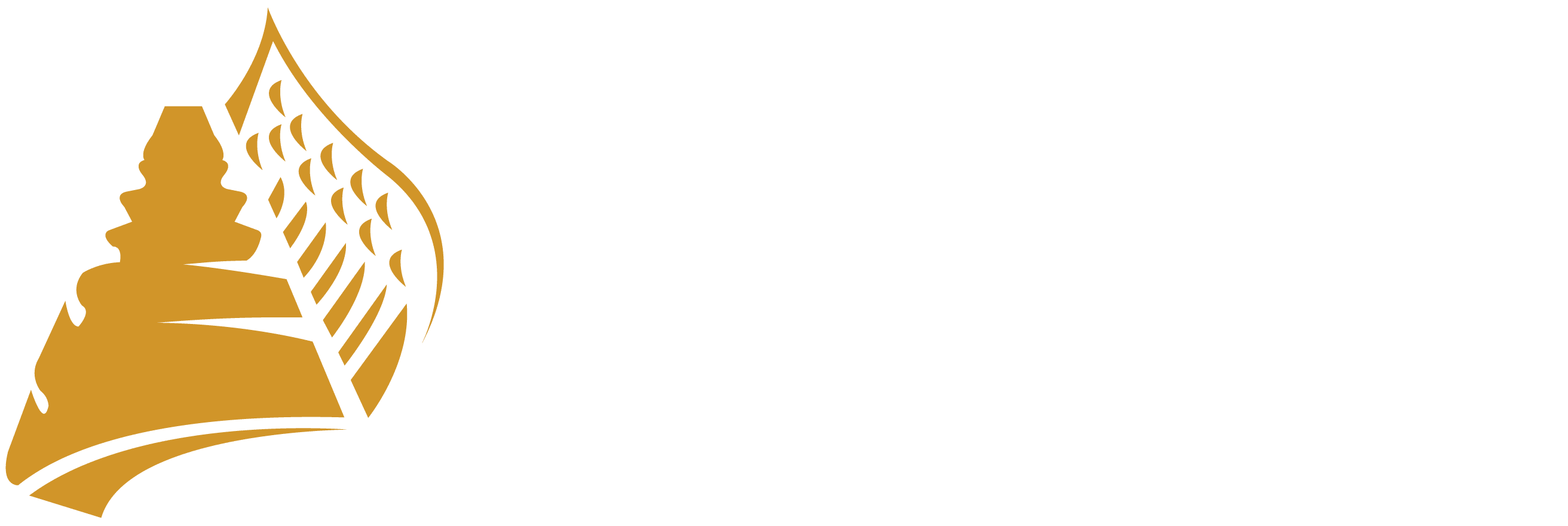 Air Cambodia
